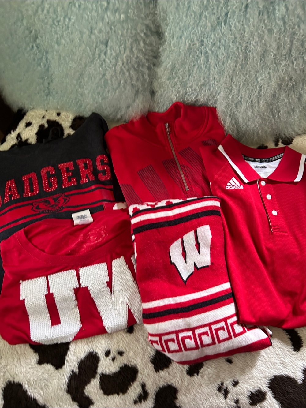 UW Red Badgers Lot